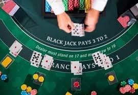 bra365 bet bra365 bet
